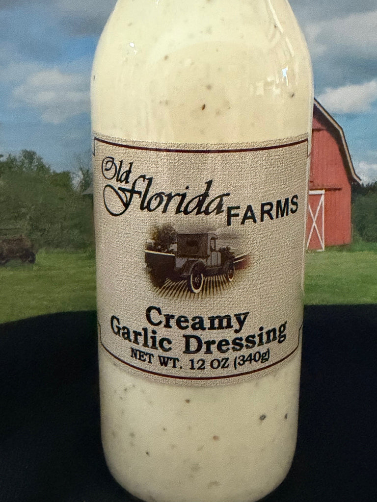 Creamy Garlic Dressing – Old Florida Farms