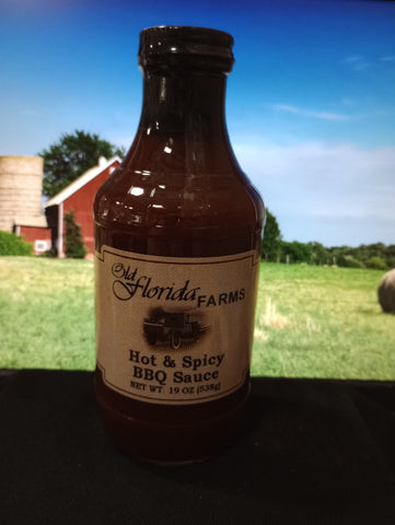 Hot & Spicy BBQ Sauce