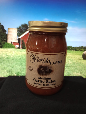 Medium Garlic Salsa