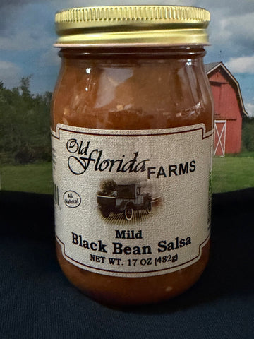 Mild Black Bean Salsa