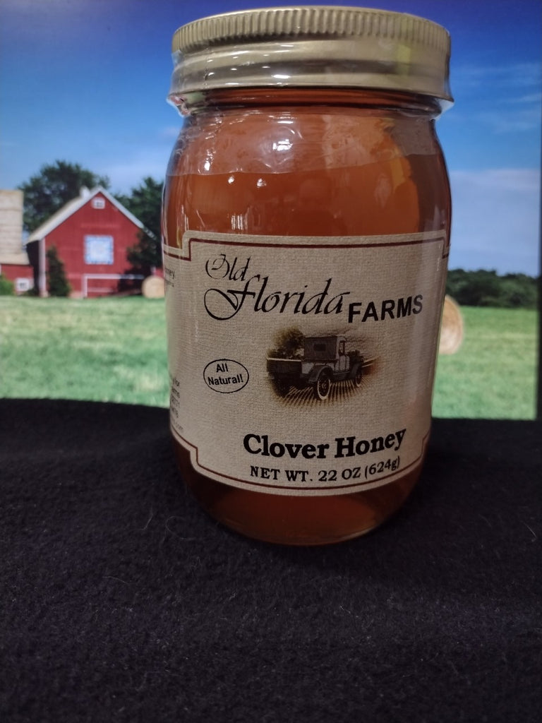 Clover Honey 22oz